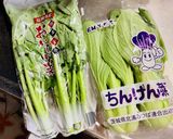 中国の味噌で野菜炒め作り方1写真