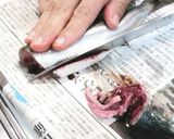 鰯の手開き作り方3写真