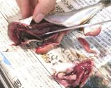 鰯の手開き作り方5写真