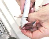 鰯の手開き作り方7写真