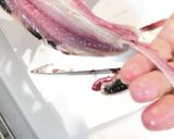 鰯の手開き作り方10写真