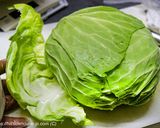 塩分1%! 本格ザワークラウト作り方1写真