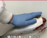 鯖の押し寿司作り方1写真