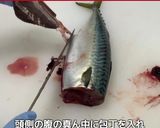 鯖の押し寿司作り方2写真