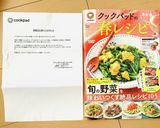 春です！筍とおから入り肉団子の旨煮作り方15写真