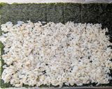 市販ナムルで簡単キンパ♡作り方3写真