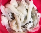釣れたてアオリイカのお刺身作り方6写真