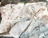 真鯛のソテーレモンバターソース作り方4写真