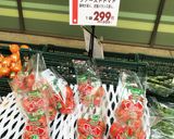 丸ごとトマトwith煮たまご作り方19写真