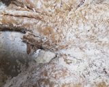 生姜の風味、香りが旨い手羽先出し醤油揚げ作り方5写真