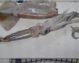 初めてのイカ料理でもOK／イカのワタ焼き作り方2写真