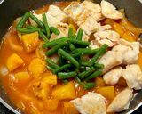 鶏肉のデミ煮込み作り方15写真