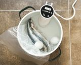 63℃ さんまの塩焼き:ふっくら作り方12写真