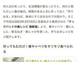 作り置きにも♪春キャベツの旨塩ダレ作り方6写真