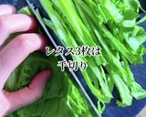お花見に！野菜たっぷりトルティーヤ作り方2写真