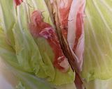 茅乃舎野菜だし★カマンベールチーズ無水鍋作り方2写真