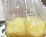 匂い移り無し！ヨーグルティアで玉ねぎ麹作り方3写真