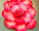 特別な日に☀紅白薔薇の大輪を食卓に咲かせ作り方4写真