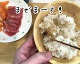 超簡単！美人手毬寿司の作り方♪作り方4写真