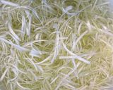 薬味たっぷり 塩ごま油で食べる鰹の刺身作り方1写真