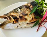 【ヒラマサ】かぶと焼き作り方5写真