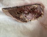 ブリ白味噌山椒漬け　和定食作り方2写真