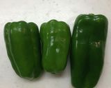 なすとピーマンの甘辛ジューシー鶏そぼろ作り方2写真