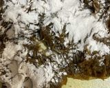 米粉活用！もずくの天ぷら作り方6写真