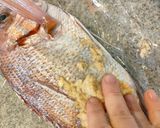 鯛ご飯作り方7写真