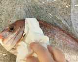 鯛ご飯作り方5写真