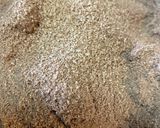 ダックワーズショコラ栗タルト★栗甘露煮作り方10写真