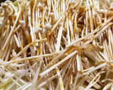 野菜がたくさん食べられる！すき焼き風煮作り方5写真