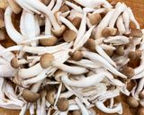 筑前煮(インド煮)子どもも喜ぶカレー味♪作り方5写真