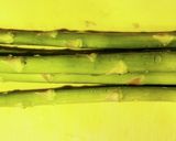 春野菜のナムル♪ なんでも好きなので！作り方2写真