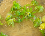 ふきのとうと明太子の和風パスタ作り方4写真