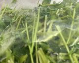 簡単!副菜てんぷら大豆作り方5写真