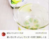 簡単レモネード作り方3写真