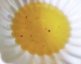 新じゃがとカリカリ鶏皮のオイスター炒め作り方9写真