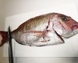 真鯛一尾食べ尽くし　塩焼き　刺身　鍋作り方5写真