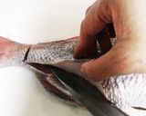 真鯛一尾食べ尽くし　塩焼き　刺身　鍋作り方6写真