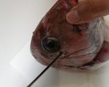 真鯛一尾食べ尽くし　塩焼き　刺身　鍋作り方12写真