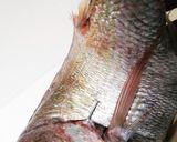 真鯛一尾食べ尽くし　塩焼き　刺身　鍋作り方13写真
