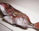 真鯛一尾食べ尽くし　塩焼き　刺身　鍋作り方17写真