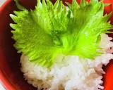 柚子胡椒ポン酢の・生しらす丼作り方5写真