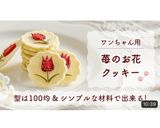 可愛い&ヘルシー 『犬用お花クッキー』作り方18写真
