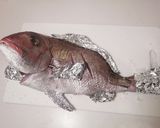 真鯛一尾食べ尽くし　塩焼き　刺身　鍋作り方20写真