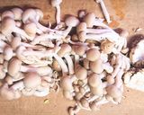 野菜摂取！白菜ときのこ もやしの味噌煮๑作り方3写真