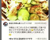 きゅうりと玉ねぎのツナサラダ作り方29写真