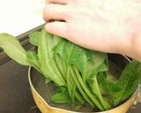 ナムル３種✕もやし、ほうれん草ほか作り方3写真