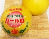 パール柑でオレンジピール作り方1写真